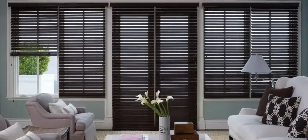 Blue living room with dark wood blinds on the windows