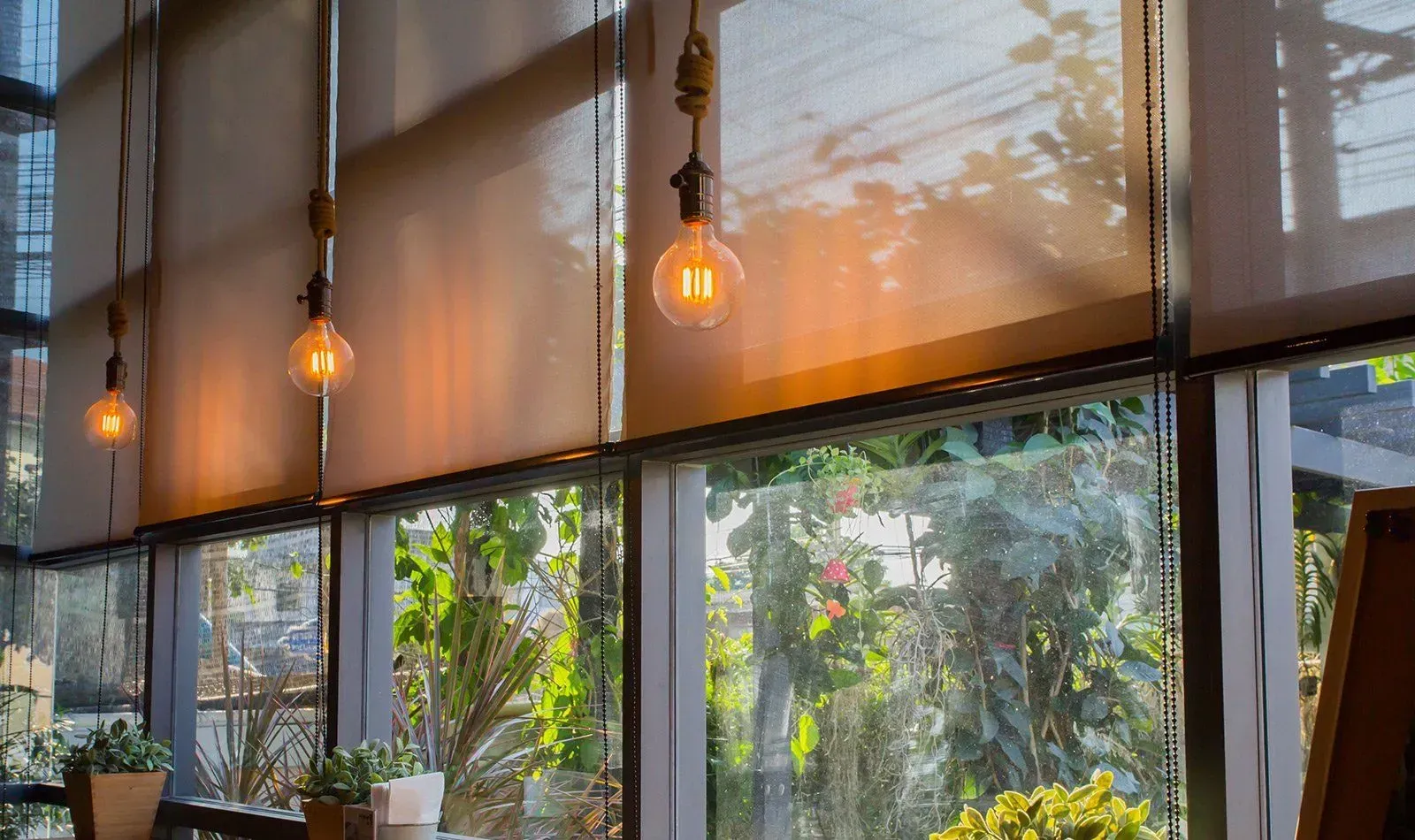 Pendant lights in front of tall windows fitted with light-filtering roller shades