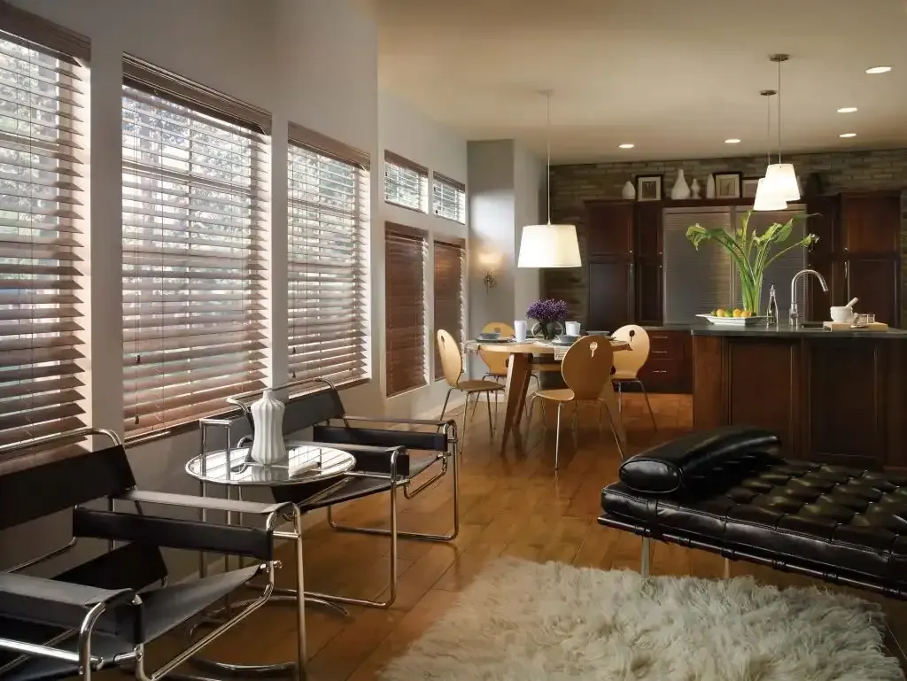 Open living room and kitchen with wood blinds on the windows